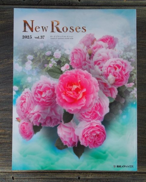 画像1: New Roses Vol.37 (1)