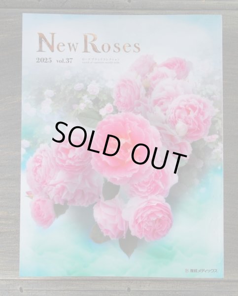 画像1: New Roses Vol.37 (1)